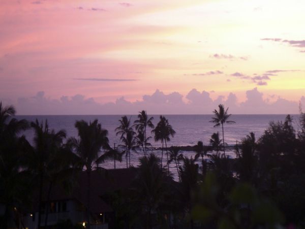 Princeville Condo 970004