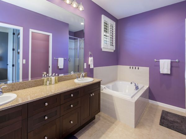 Princeville Condo 970054