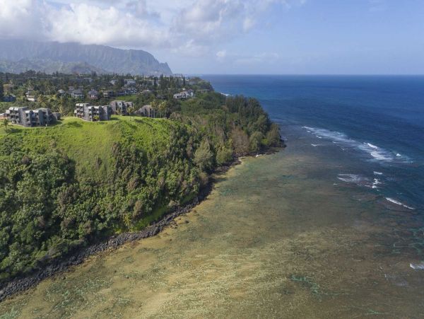 Princeville Condo 970058