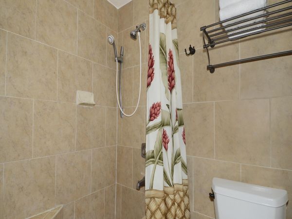 Princeville Condo 970072