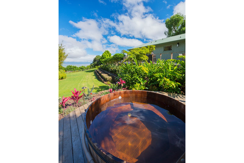 Wailea Home 970079