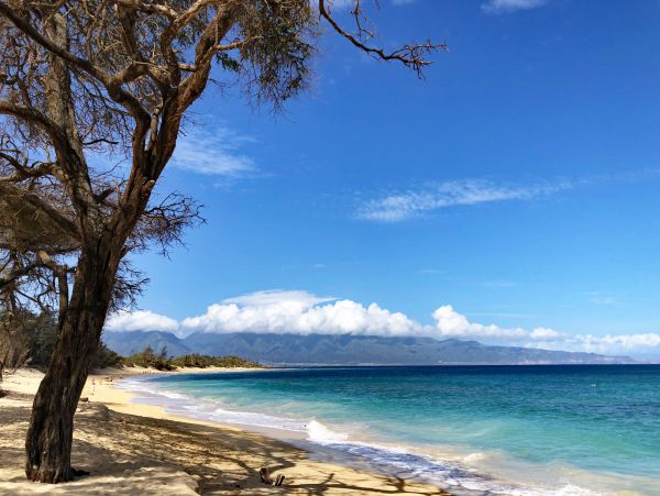 Haiku Luxury Estate Vacation Rental Home