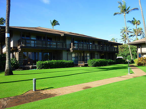 Haiku Home 970089