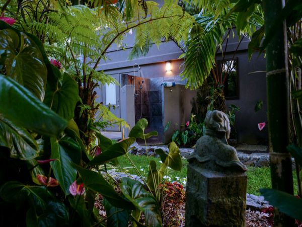 Haiku Home 970097