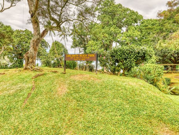 Hilo District Condo 970129