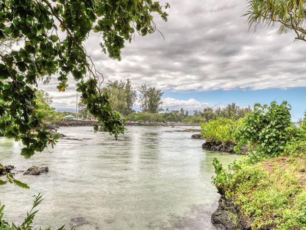 Hilo District Condo 970129