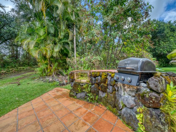 Hilo District Home 970133