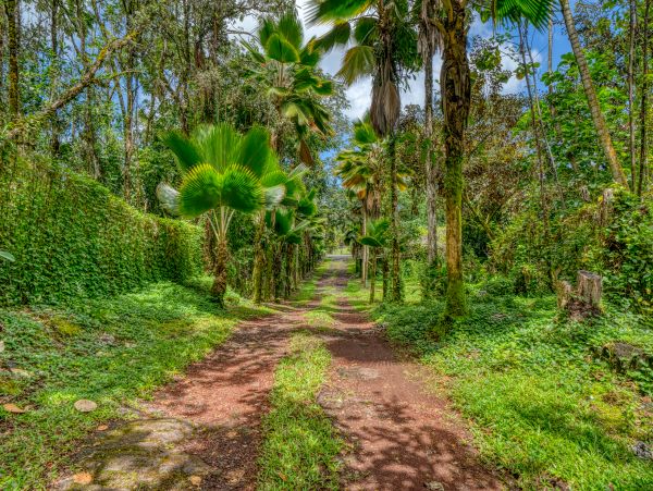 Hilo District Home 970133