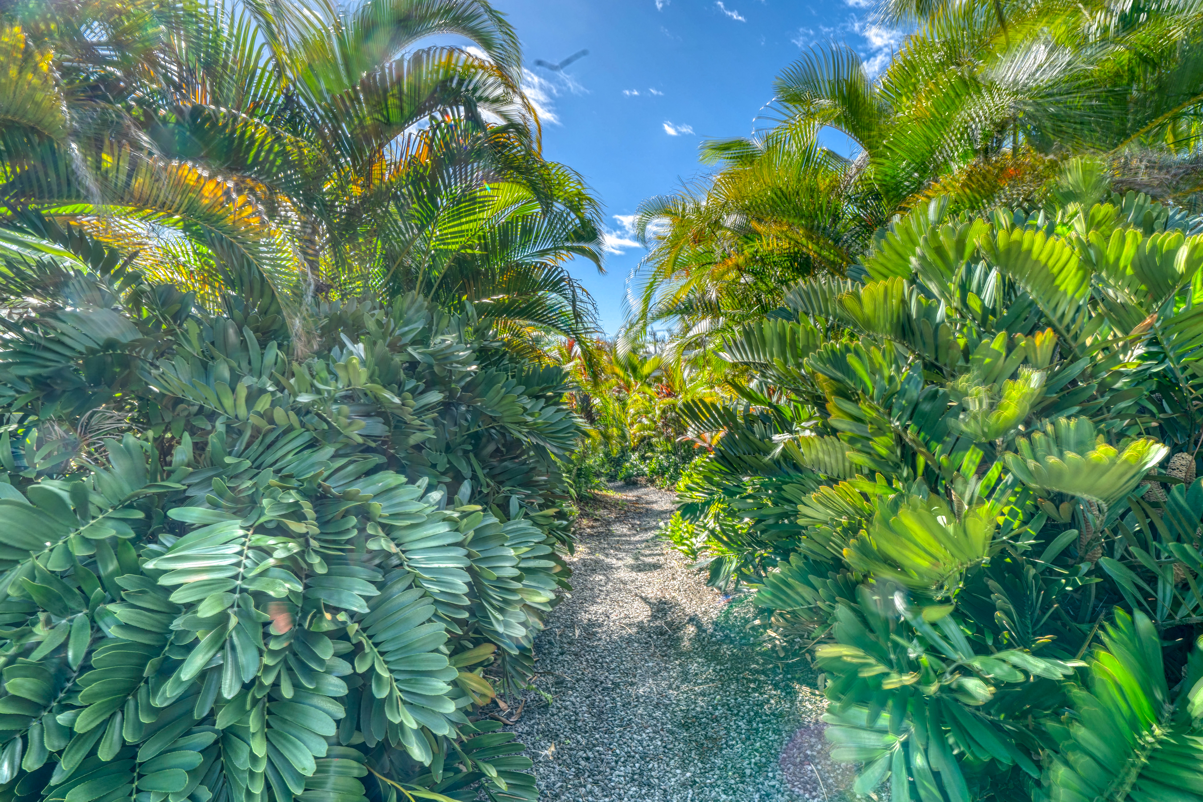 Puna District Home 970135