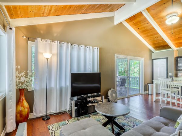 Puna District Home 970136