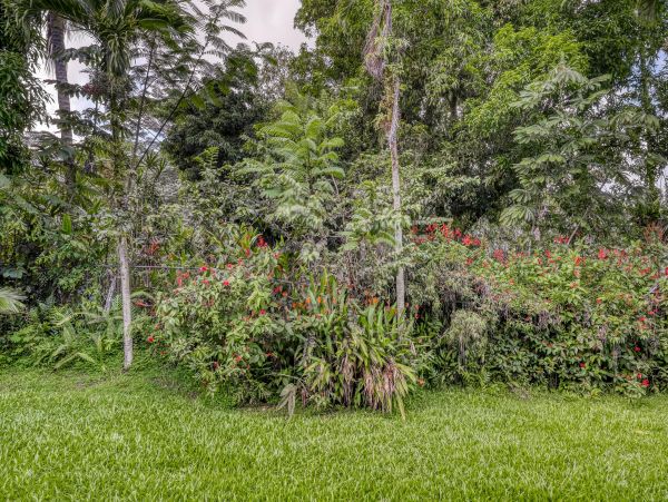 Puna District Home 970136
