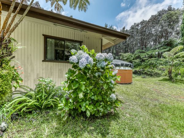 Puna District Home 970139