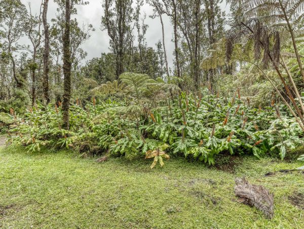 Puna District Home 970141