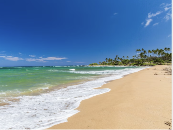 Beautifully Remodeled Condo in Kauai - Steps from the Beach