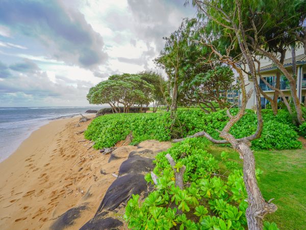 Princeville Condo 970147