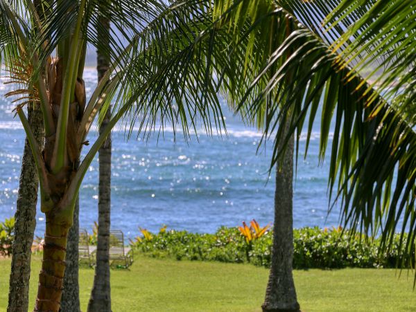 Koloapoipu Condo 970148