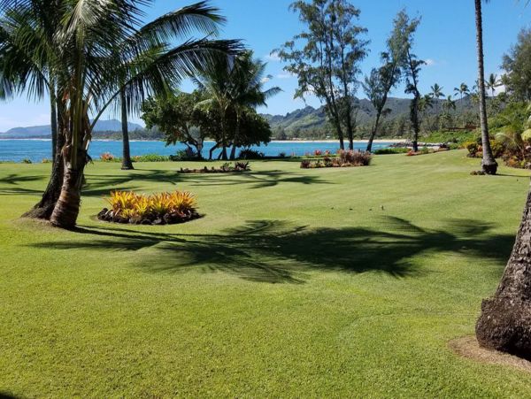Koloapoipu Condo 970148