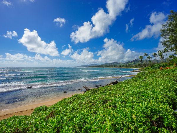 Luxury Beach Condo Koloa Spectacular Residence.