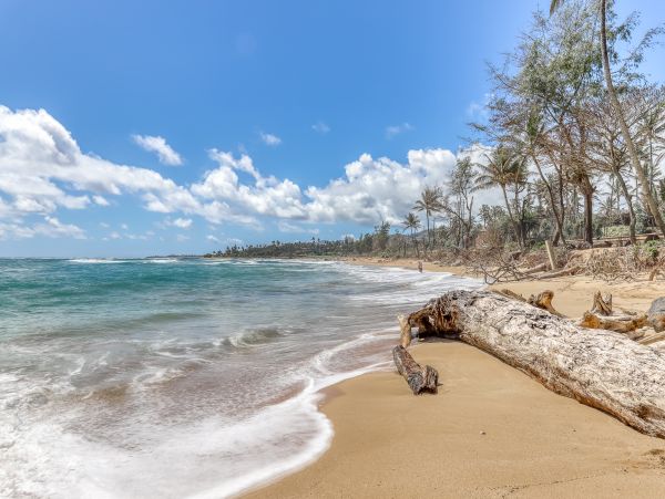 Koloapoipu Condo 970150