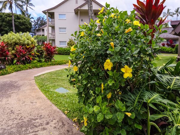 Koloapoipu Condo 970152