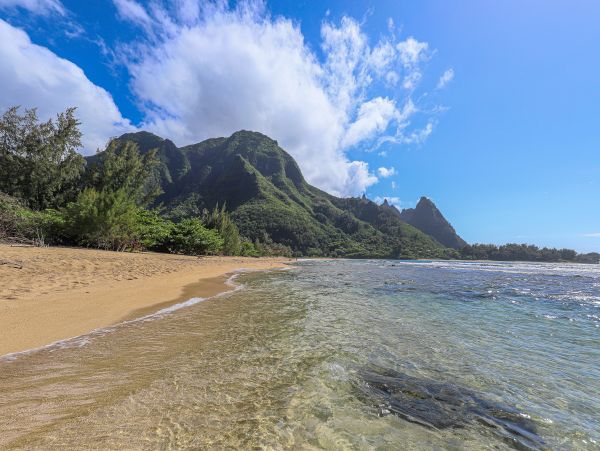 Hanalei Home 970157