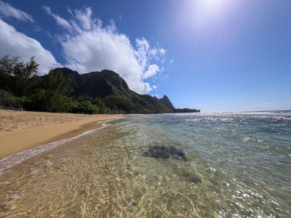Hanalei Home 970157