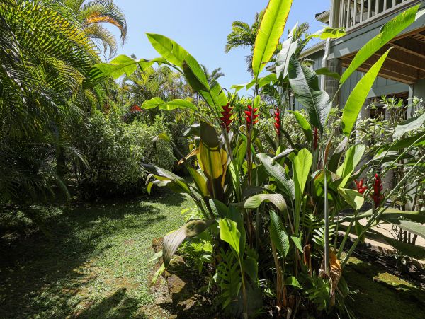 Hanalei Home 970157
