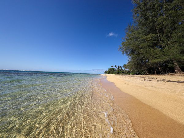 Hanalei Home 970157