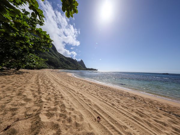 Hanalei Home 970157