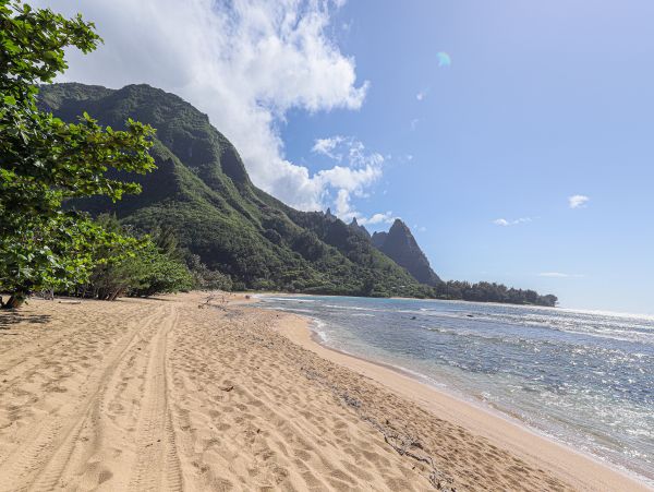 Hanalei Home 970157