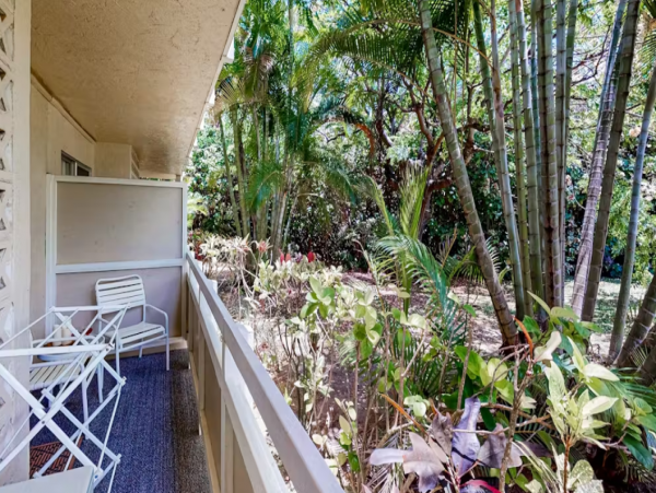 Cozy Vacation One Bedroom Rental in Kapaa