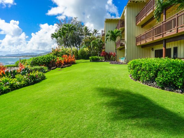 Koloapoipu Condo 970159