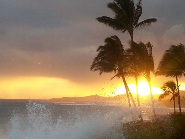 Escape on Kauai's Sunny South Shore - Walk to Beach