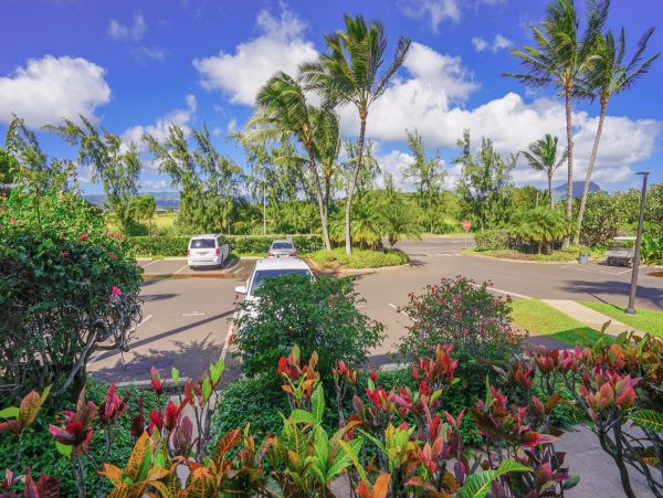 Koloapoipu Condo 970166