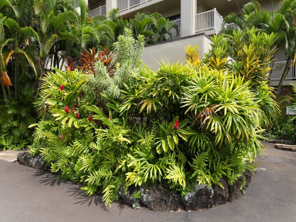 Koloapoipu Condo 970168
