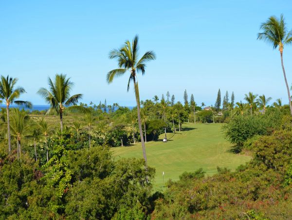 Kohala Coast Condo 970175