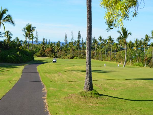 Kohala Coast Condo 970175
