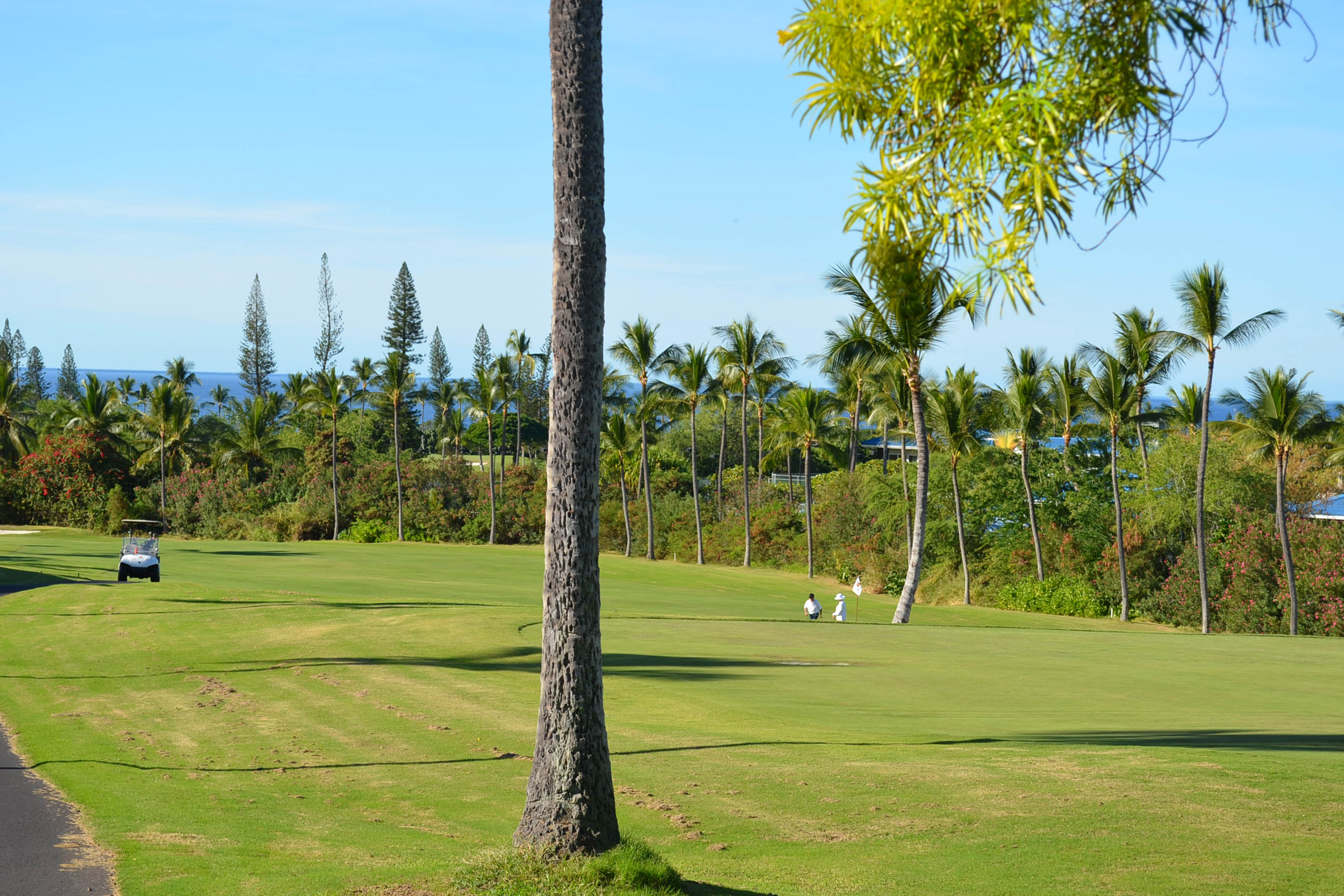 Kohala Coast Condo 970175