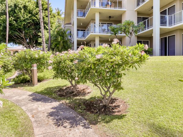 Kohala Coast Condo 970180