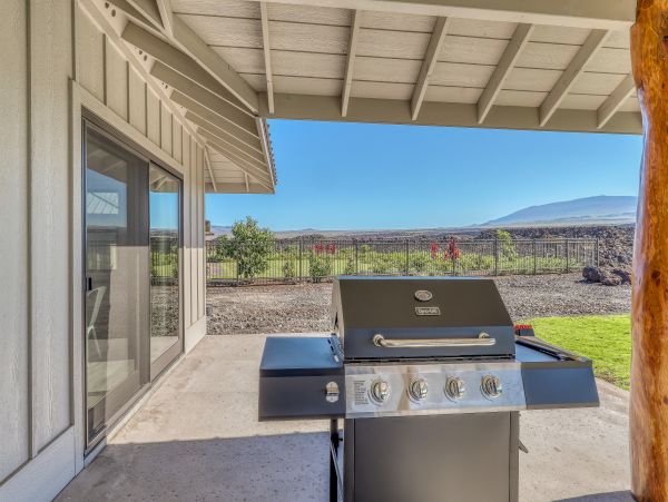 Kohala Coast Home 970182