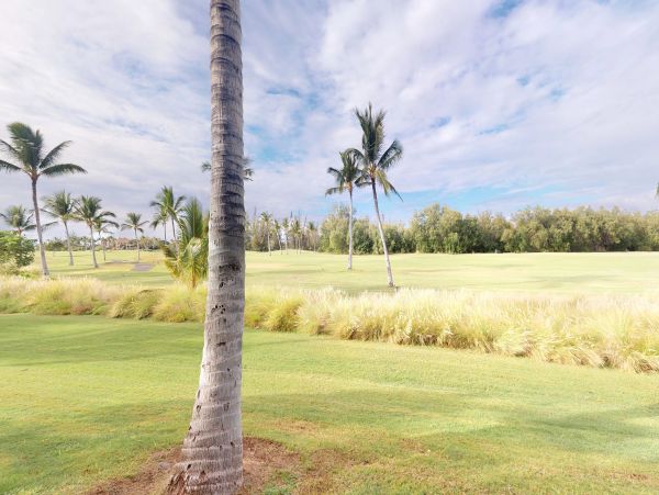 Kohala Coast Condo 970185