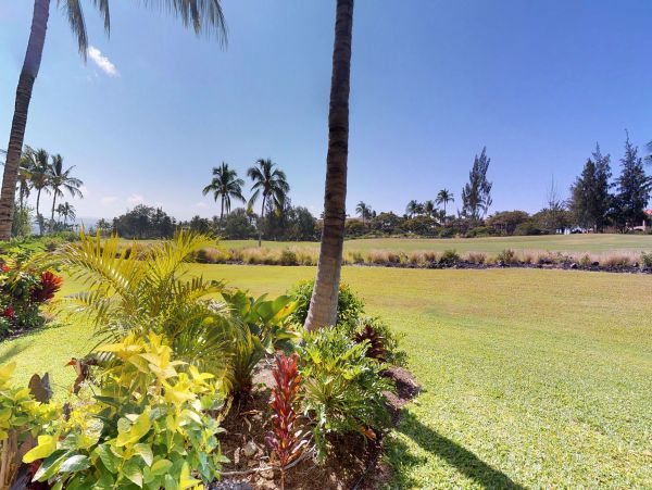 Kohala Coast Condo 970196