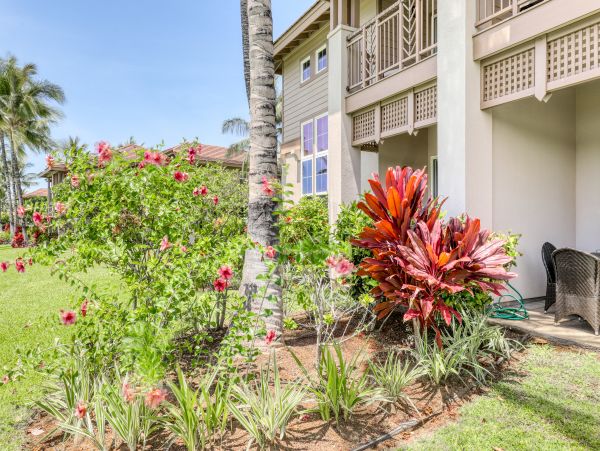 Kohala Coast Condo 970196
