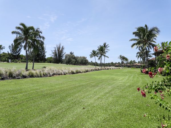 Kohala Coast Condo 970196