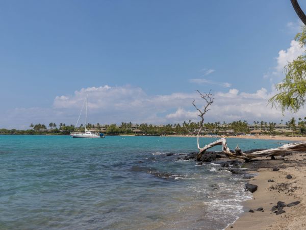 Kohala Coast Condo 970198