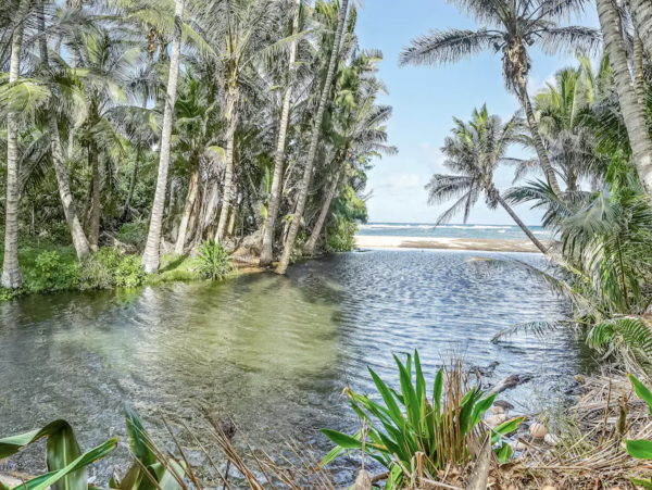 Spacious Princeville Rental with Lanai and Beach Access