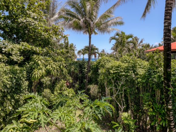 Hanalei Home 970210