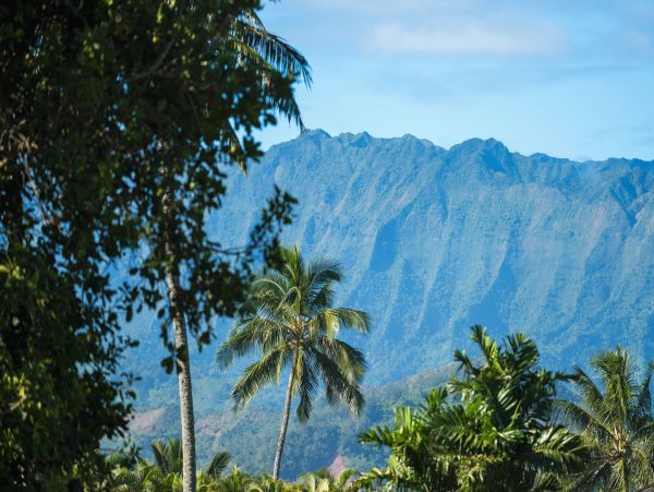 Hanalei Home 970210