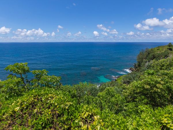 Hanalei Home 970210