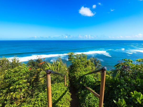 Hanalei Home 970210